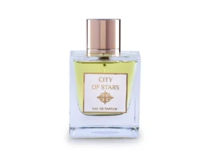 CITY OF STAR